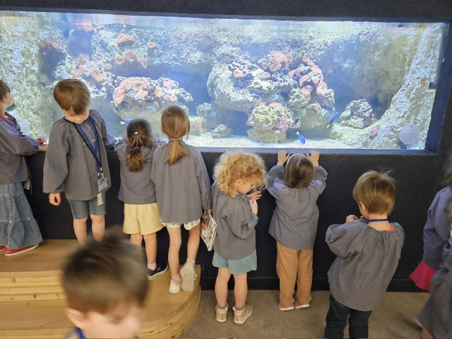 Aquarium de la Porte Dorée