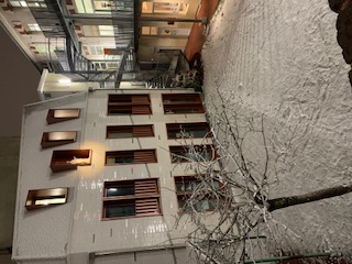 Notre école sous la neige 