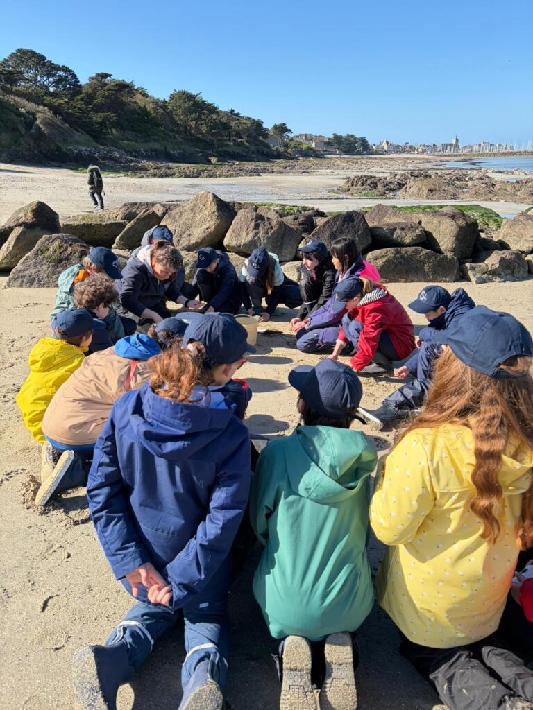 Voyage des classes du CP au CM2 à Piriac-sur-Mer