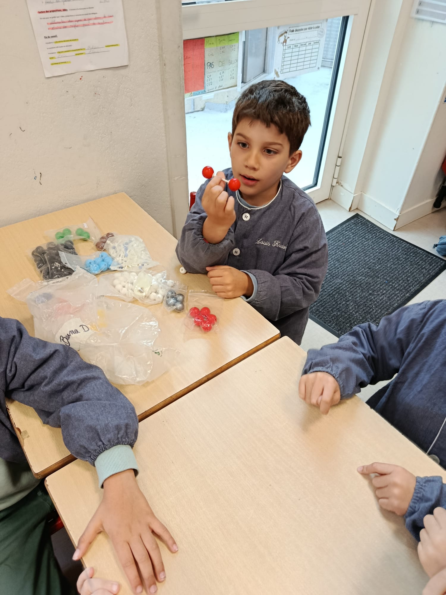 Ateliers sciences en CE1